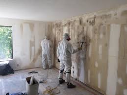 Best Residential Mold Inspection & Testing  in Princeton, MN